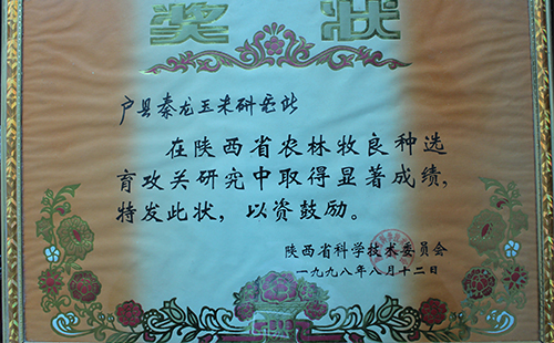 榮譽(yù)資質(zhì)
