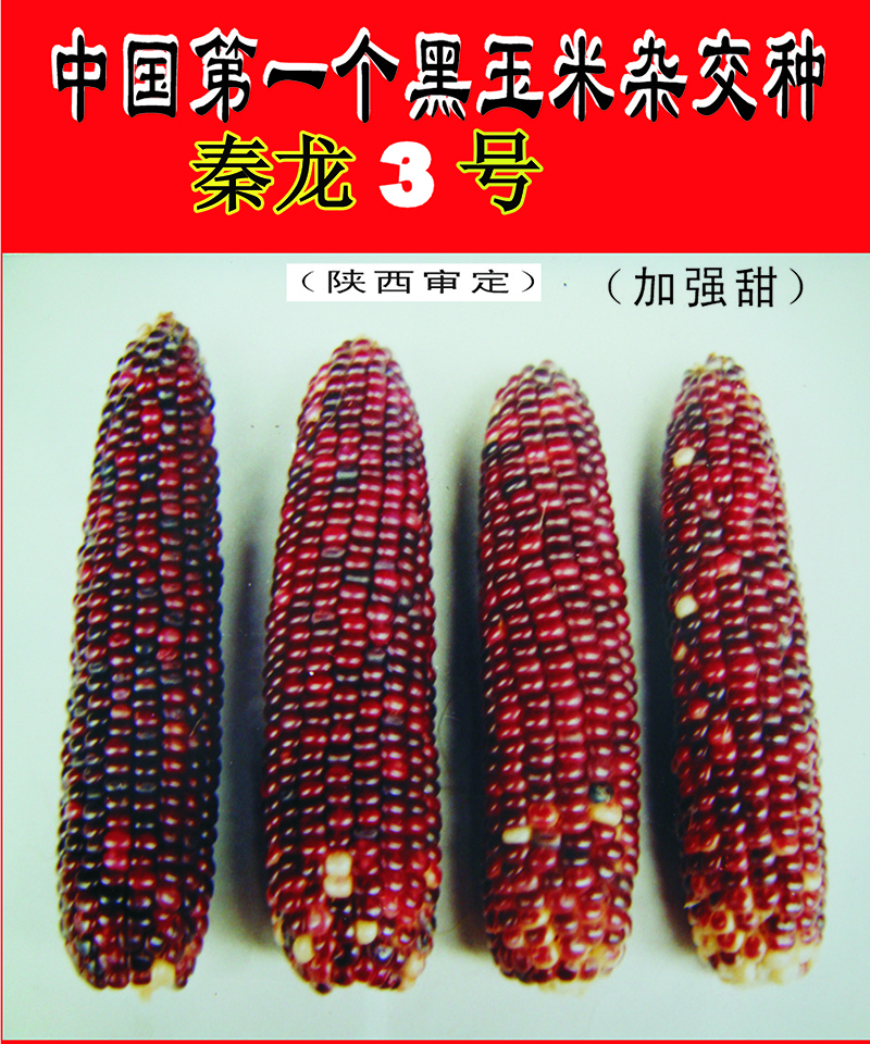 秦龍3號(hào)