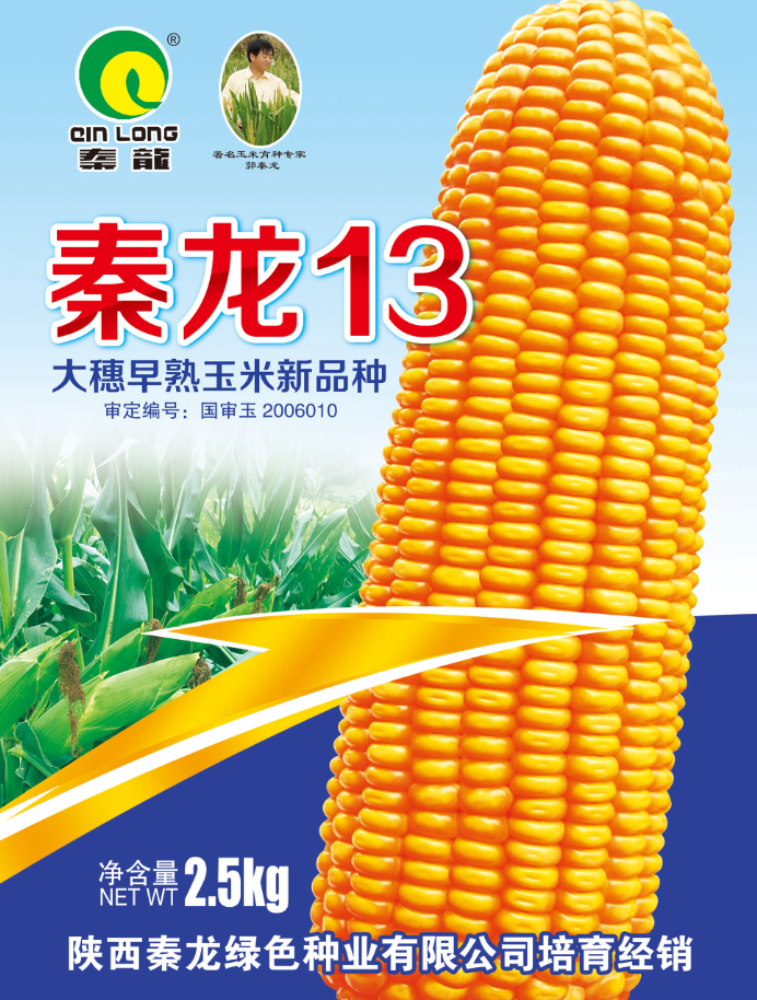 秦龍13號(hào)
