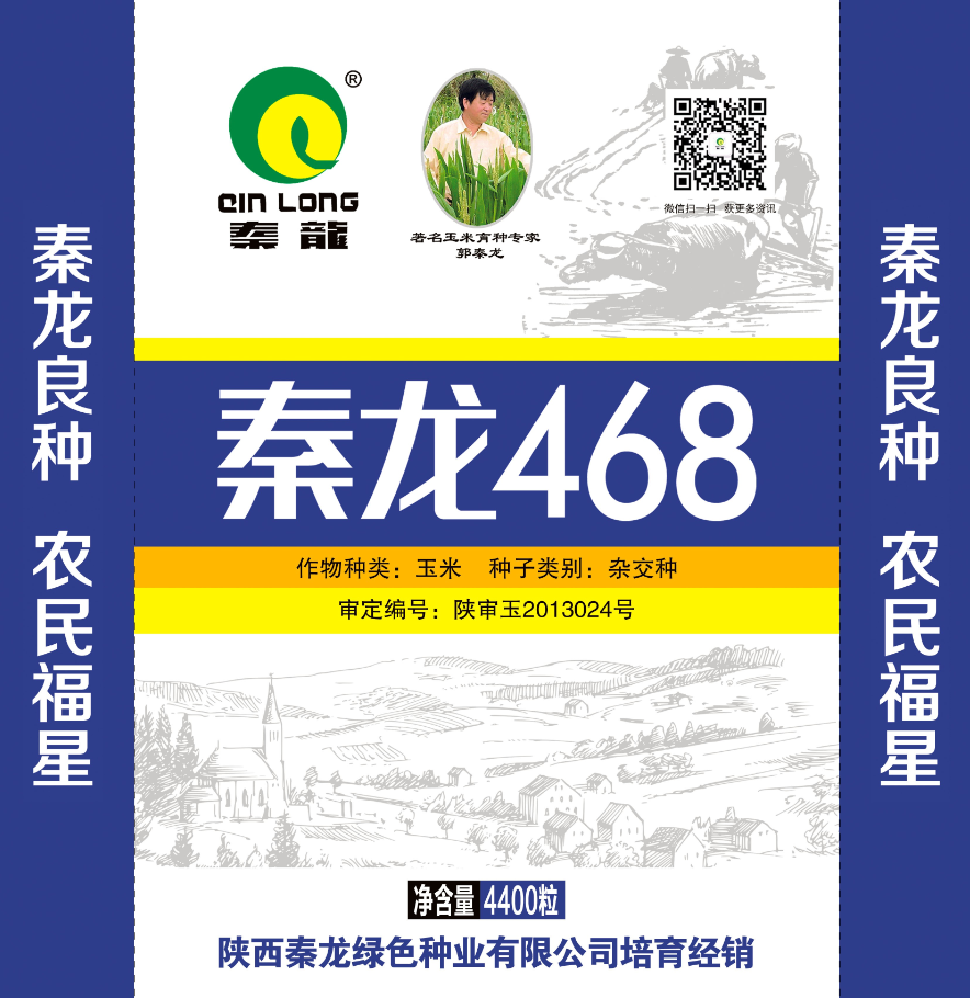 秦龍468
